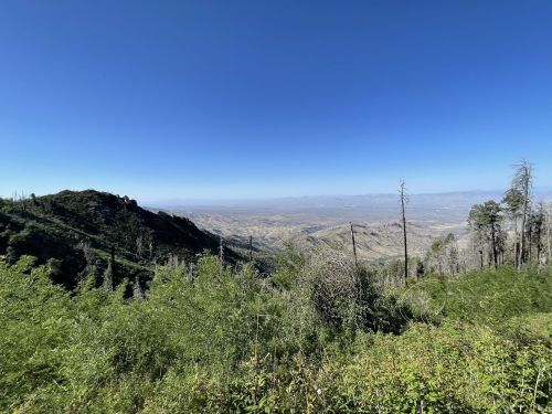 A panoramic view of rolling hills and valleys under a clear blue sky, with sparse trees in the foreground.