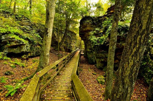 A wooden walkway through a lush, green forest with rocky cliffs and autumn leaves scattered on the ground.