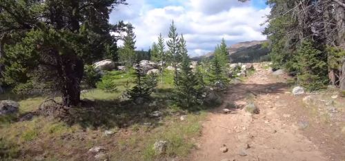 A rocky path winds through a forested area with pine trees and boulders, under a partly cloudy sky.