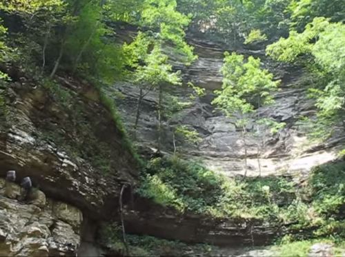 Lush green trees atop a rocky cliff, with sunlight filtering through the foliage in a serene natural setting.