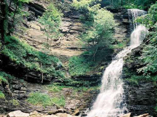A serene waterfall cascading down a rocky cliff, surrounded by lush green trees and foliage.