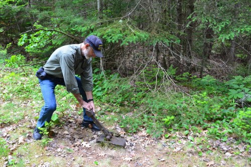 An older man in a cap uses a tool to dig in a wooded area, surrounded by greenery and fallen leaves.