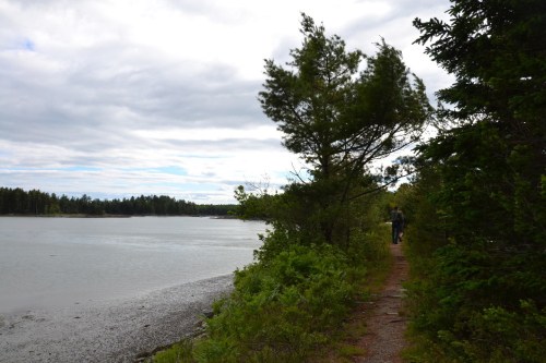 A scenic path along a calm waterway, bordered by trees under a cloudy sky.