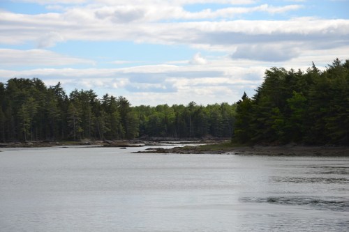 A serene landscape featuring calm water, lush green trees, and a cloudy sky reflecting over the horizon.