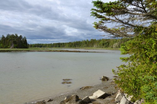 A serene landscape featuring a calm river, rocky shore, and lush green trees under a cloudy sky.