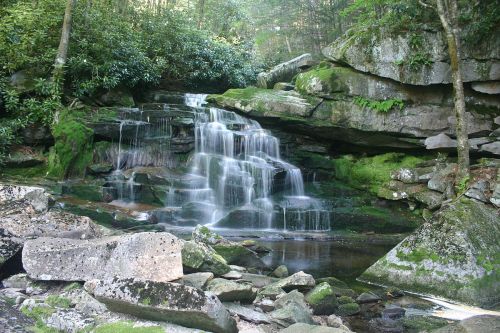 A serene waterfall cascades over moss-covered rocks in a lush, green forest.