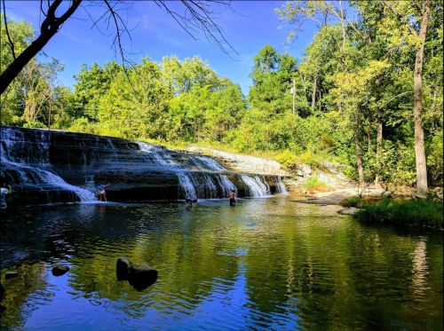 A serene waterfall cascades into a calm pool, surrounded by lush green trees and a clear blue sky.