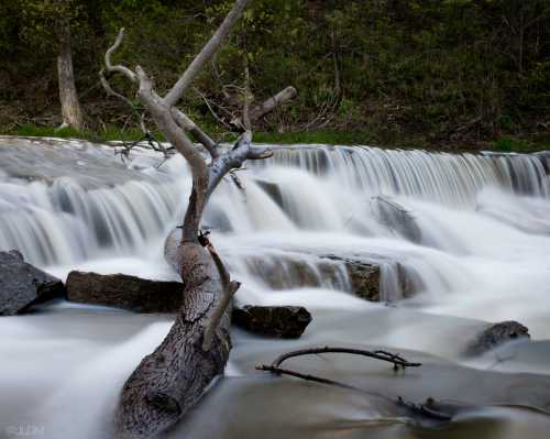 A serene waterfall cascades over rocks, with a fallen tree partially submerged in the foreground.