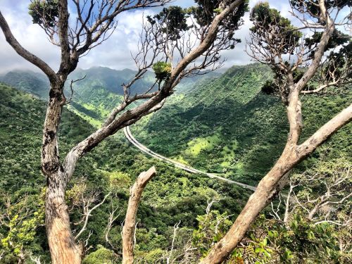 A scenic view of lush green mountains and a winding road framed by tree branches under a partly cloudy sky.