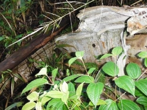 A partially buried, rusted metal object surrounded by dense vegetation and leaves in a forested area.