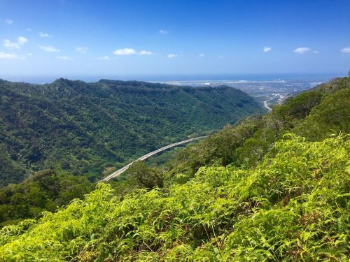 Lush green hillsides with a winding road below, under a clear blue sky and distant ocean view.
