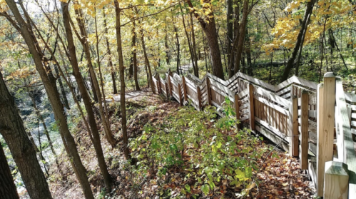 A winding wooden fence along a forest path, surrounded by trees with autumn leaves.
