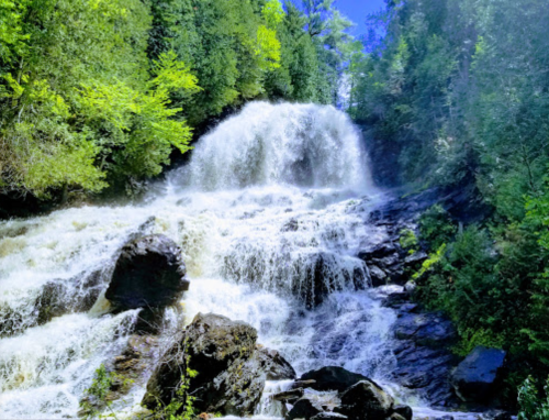 A cascading waterfall surrounded by lush green trees and rocky terrain under a clear blue sky.