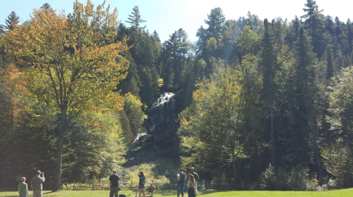 A scenic view of a waterfall surrounded by trees, with people enjoying the outdoors in the foreground.