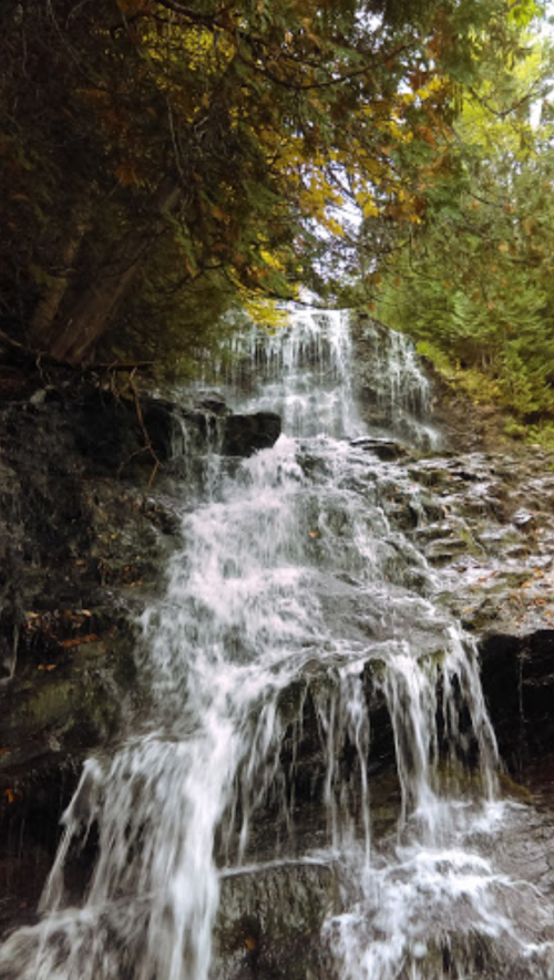 A serene waterfall cascading over rocky terrain, surrounded by lush green trees and autumn foliage.