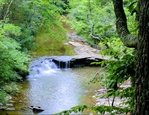 A serene river flows through a lush green forest, with small waterfalls and rocky banks visible.
