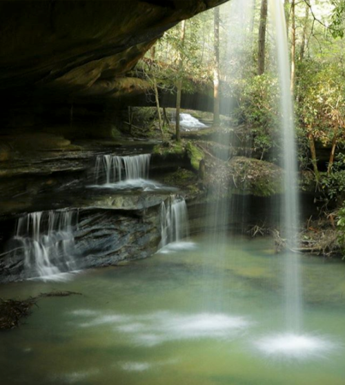 A serene waterfall cascading over rocks into a tranquil pool, surrounded by lush greenery and trees.