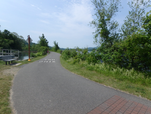 A scenic pathway lined with greenery, leading alongside a calm body of water under a clear blue sky.