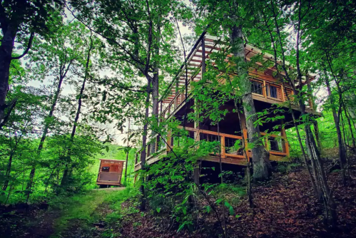 A wooden cabin nestled among lush green trees, with a deck and a small shed nearby.