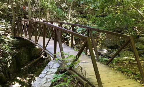 A wooden bridge with a metal frame spans a forested area, surrounded by trees and rocky terrain.