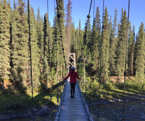 A person in a red jacket stands on a suspension bridge surrounded by tall trees and a clear blue sky.