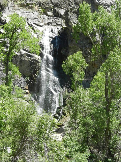 A cascading waterfall flows down rocky cliffs, surrounded by lush green trees and foliage.