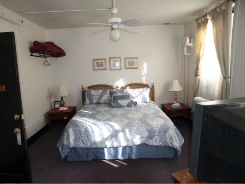 A cozy bedroom with a large bed, two lamps, a TV, and decorative wall art. Sunlight streams through the curtains.