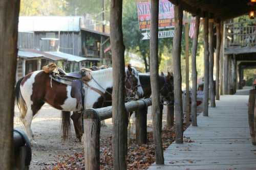 Two horses tied to a wooden post in a rustic setting with a wooden walkway and old buildings in the background.