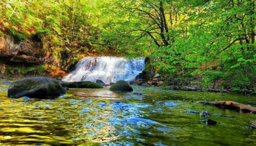 A serene waterfall cascades over rocks, surrounded by lush green trees and reflecting in the calm water below.