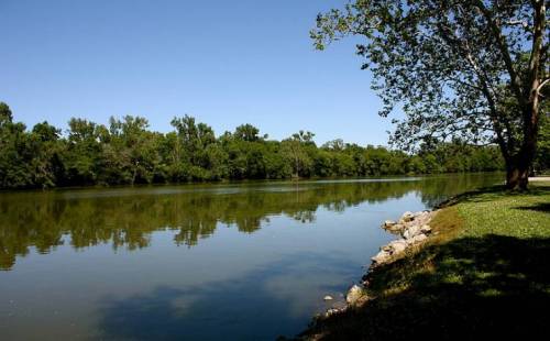A calm river reflects trees and a clear blue sky, with a grassy bank and rocks lining the shore.
