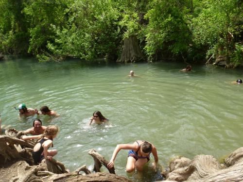 People swimming and playing in a greenish river surrounded by lush trees and natural scenery.