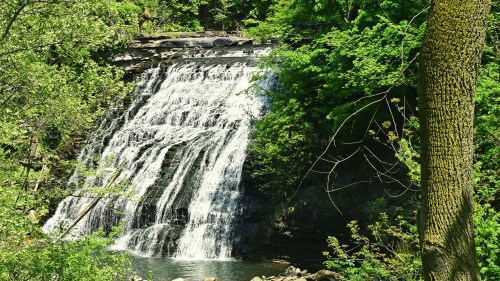 A serene waterfall cascading over rocks, surrounded by lush green trees and foliage.