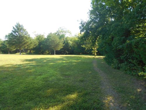 A grassy field with a winding path surrounded by trees under a clear sky.