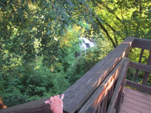 A hand rests on a wooden railing overlooking a lush green landscape with a glimpse of a waterfall in the distance.