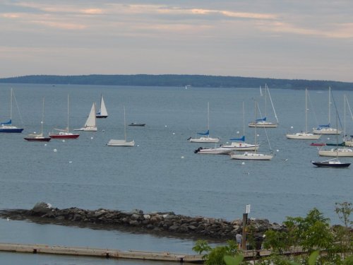A serene view of a harbor with various sailboats anchored in calm waters, surrounded by distant land and cloudy skies.