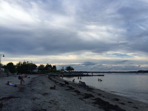 A beach scene with people walking, sitting, and wading in the water under a cloudy sky. Dogs are also present.