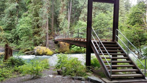 A wooden bridge leads over a river, surrounded by lush green trees and foliage in a serene natural setting.