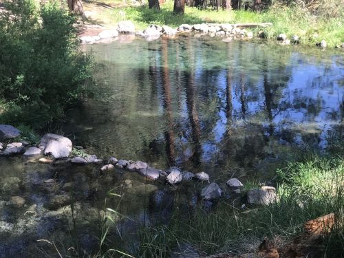 A serene natural pond surrounded by trees and rocks, reflecting the clear blue sky and greenery.