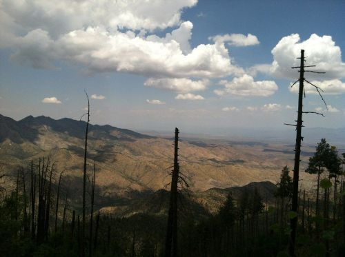 A panoramic view of a mountainous landscape with sparse trees and clouds in the sky.