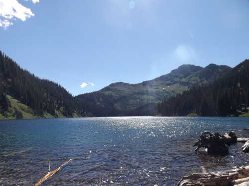 A serene lake surrounded by lush green mountains under a clear blue sky, with sunlight sparkling on the water's surface.