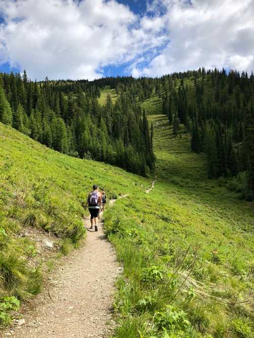 A winding trail through a lush green hillside, with hikers walking towards a forested area under a blue sky.