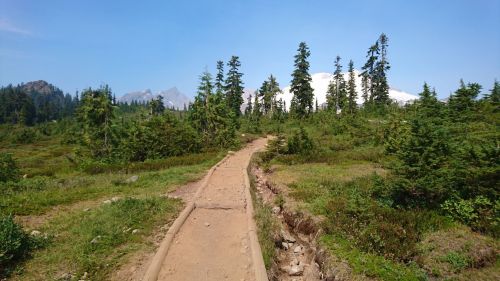 A sandy trail winds through lush greenery, leading towards snow-capped mountains under a clear blue sky.