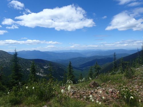 A panoramic view of mountains and valleys under a blue sky with scattered clouds, surrounded by green trees and wildflowers.