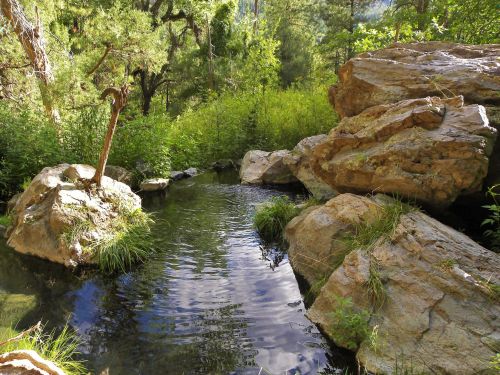 A serene natural scene featuring a calm stream surrounded by lush greenery and large rocks.