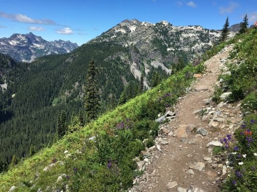 A rocky trail winds through lush green hills, with mountains and a blue sky in the background. Wildflowers dot the path.