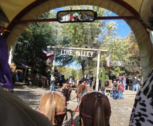 View from a horse-drawn carriage entering Love Valley, with people and flags visible in a scenic outdoor setting.