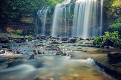A serene waterfall cascades over rocks into a calm stream, surrounded by lush greenery.