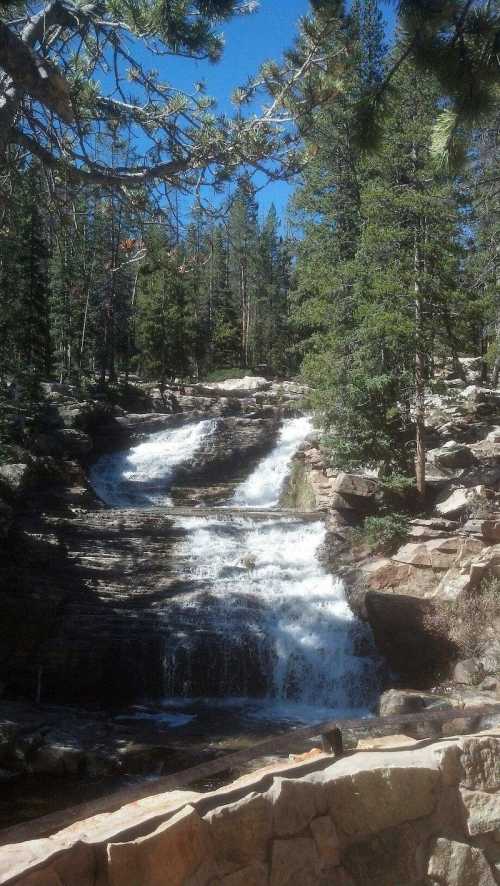 A serene waterfall cascades over rocky terrain, surrounded by lush green trees under a clear blue sky.