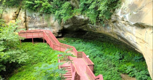 A wooden walkway winds through lush greenery beneath a rocky overhang in a serene natural setting.