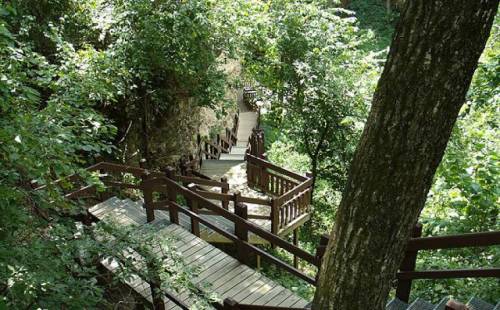 A winding wooden pathway through lush greenery, leading down a hillside surrounded by trees.